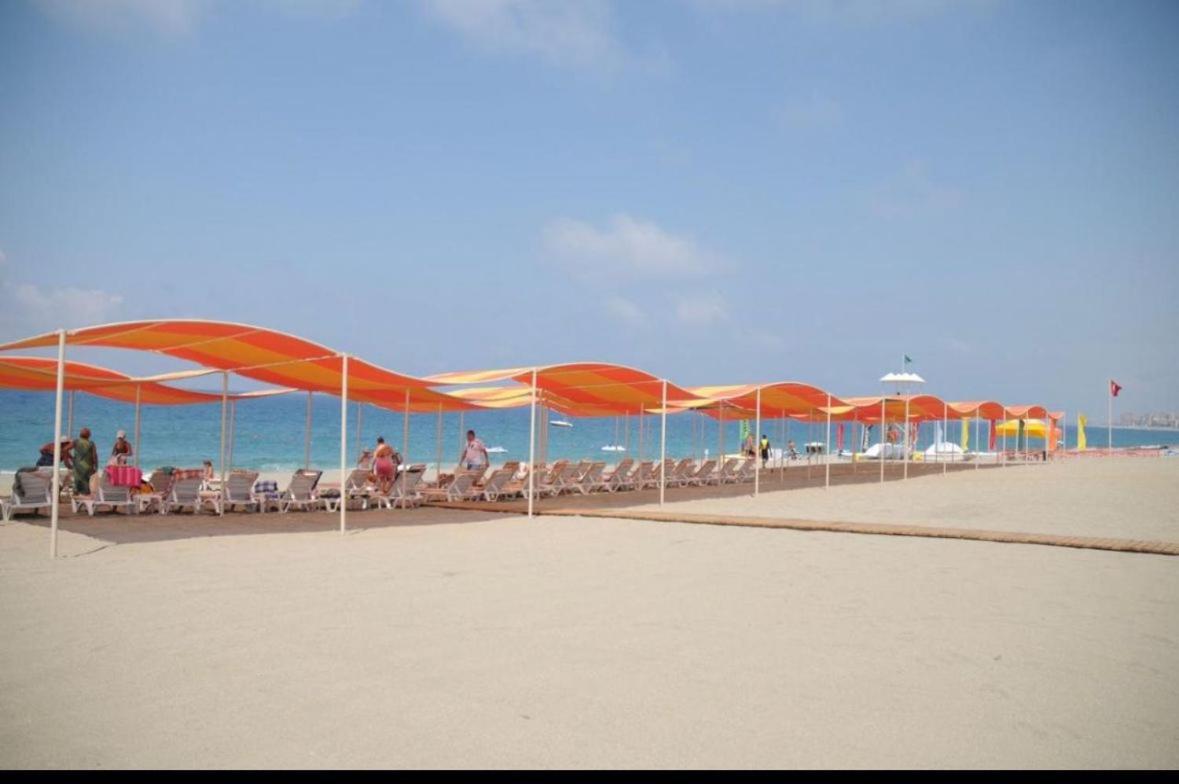 Alanya Gold City Hotel Main Building 3 Bedroom Apartment Eksteriør billede